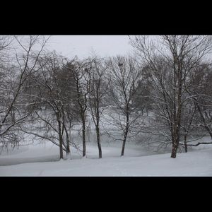 Meet your Posher, Zoe